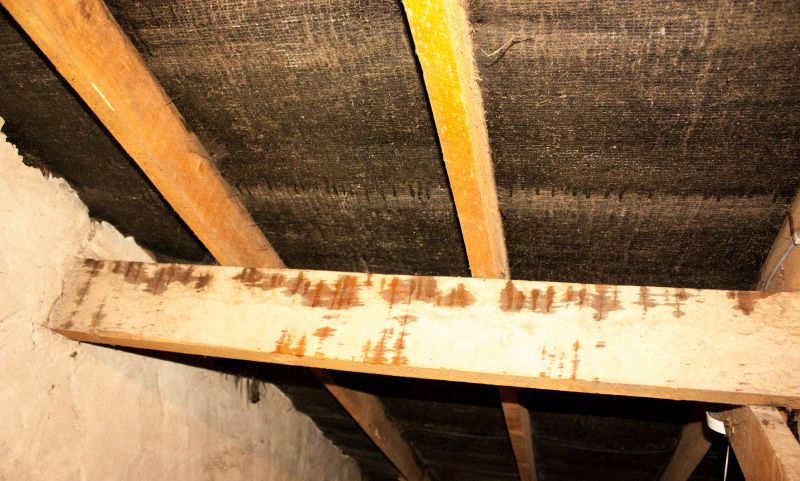 Building Repair Service in Conroe, TX